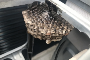 室外機の中のアシナガバチの巣