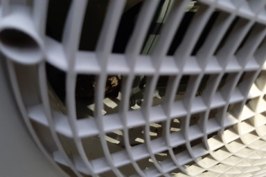 磐田市の室外機の中にできたアシナガバチ駆除