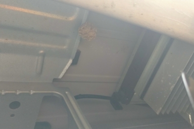 室外機の中にできたアシナガバチの巣